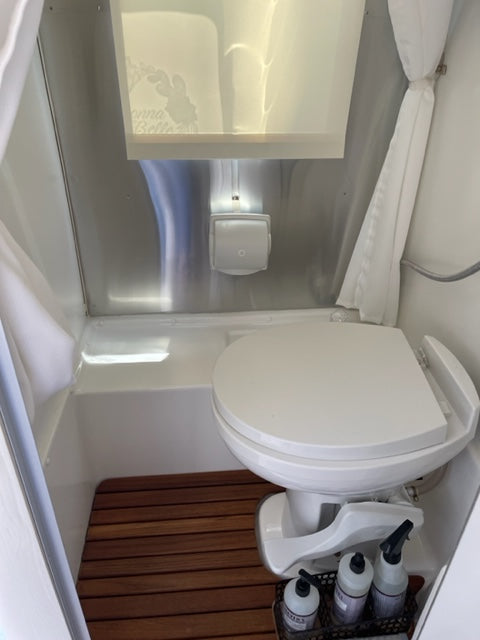 This RV rental bathroom features a compact wet bath with a raised toilet, integrated shower, and sleek storage for toiletries. — photo 9