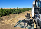 Relaxing by an RV rental, with camping chairs & table beside a field of lush cannabis plants and distant wind farm under clear skies.