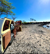 Sunny beach adventures in an RV rental! A woman in a bikini and lei smiles, leaning out of her camper van on a rocky shore.