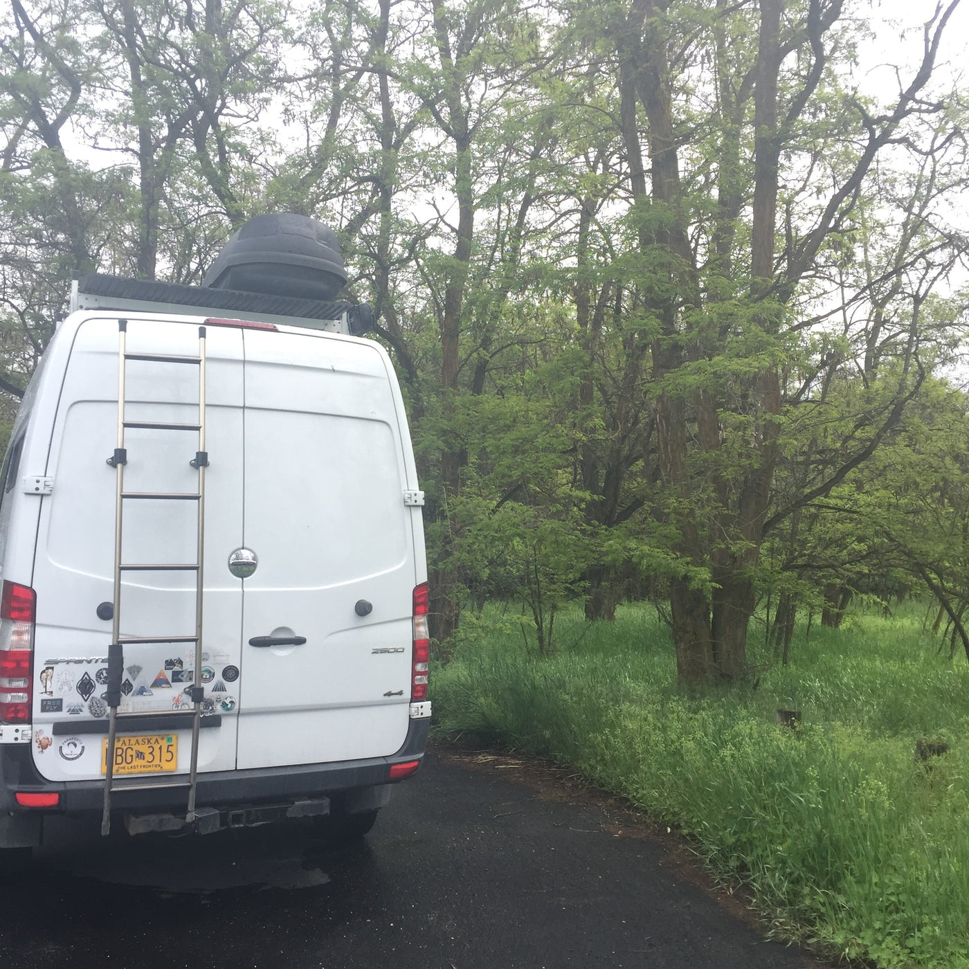 White Sprinter van (RV rental) parked on a paved road, surrounded by vibrant green trees & tall grass in a natural setting. — photo 8