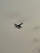 A dark seaplane soars under a grey sky. Like an RV rental, it represents freedom and unique travel.