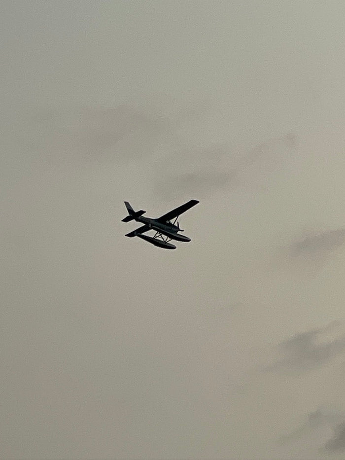 A dark seaplane soars under a grey sky. Like an RV rental, it represents freedom and unique travel.