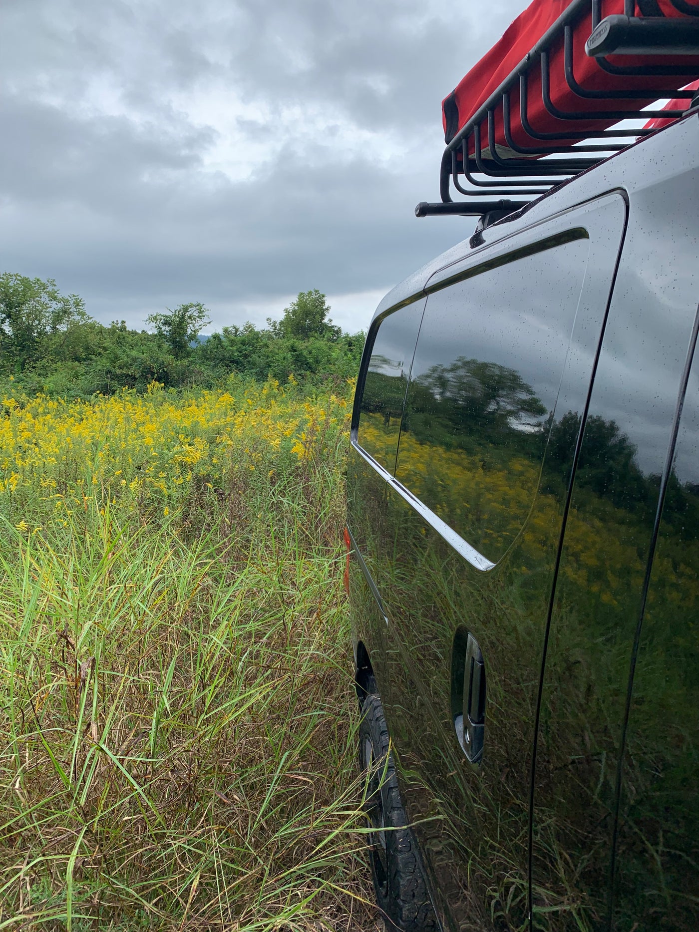 Adventure in bloom! A black camper van (rv rental) with a roof rack, parked in a field of goldenrod under a gray sky. — photo 8
