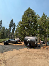 A serene rv rental campsite with a truck, modern travel trailer, and dogs nestled among towering trees.