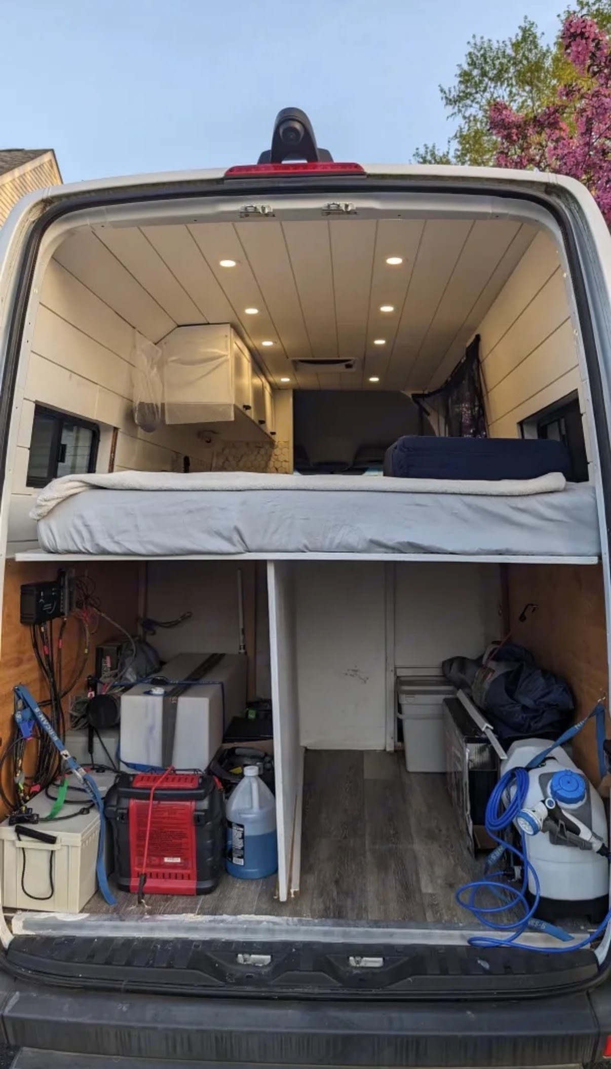 Juniper Jr — photo 8