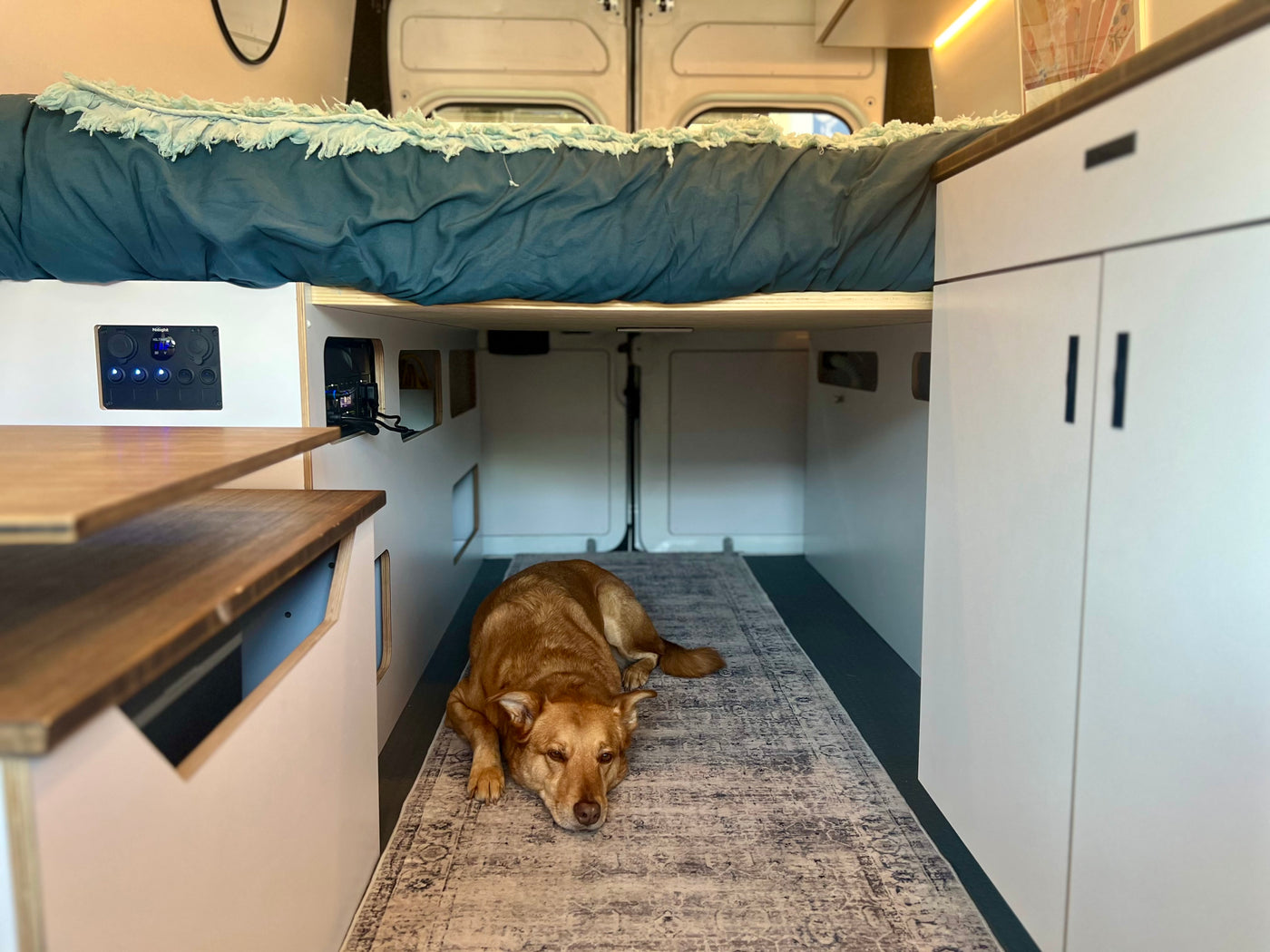 Chappie – GeoTrek Off-Grid Campervan | AC | Outdoor Shower | Toilet — photo 11