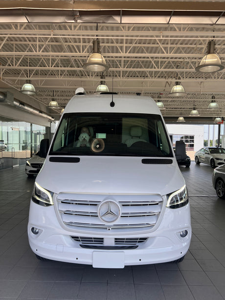 White Mercedes-Benz Sprinter van, ideal for rv rental, with a person and dog inside at a dealership.