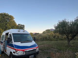 This RV rental, adorned with red and blue stripes, is parked amidst trees with mountains and a clear sky in the background.