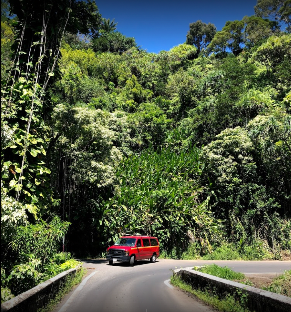 A red van, like an RV rental, drives on a winding road through dense, vibrant green tropical forest. Blue sky above.
