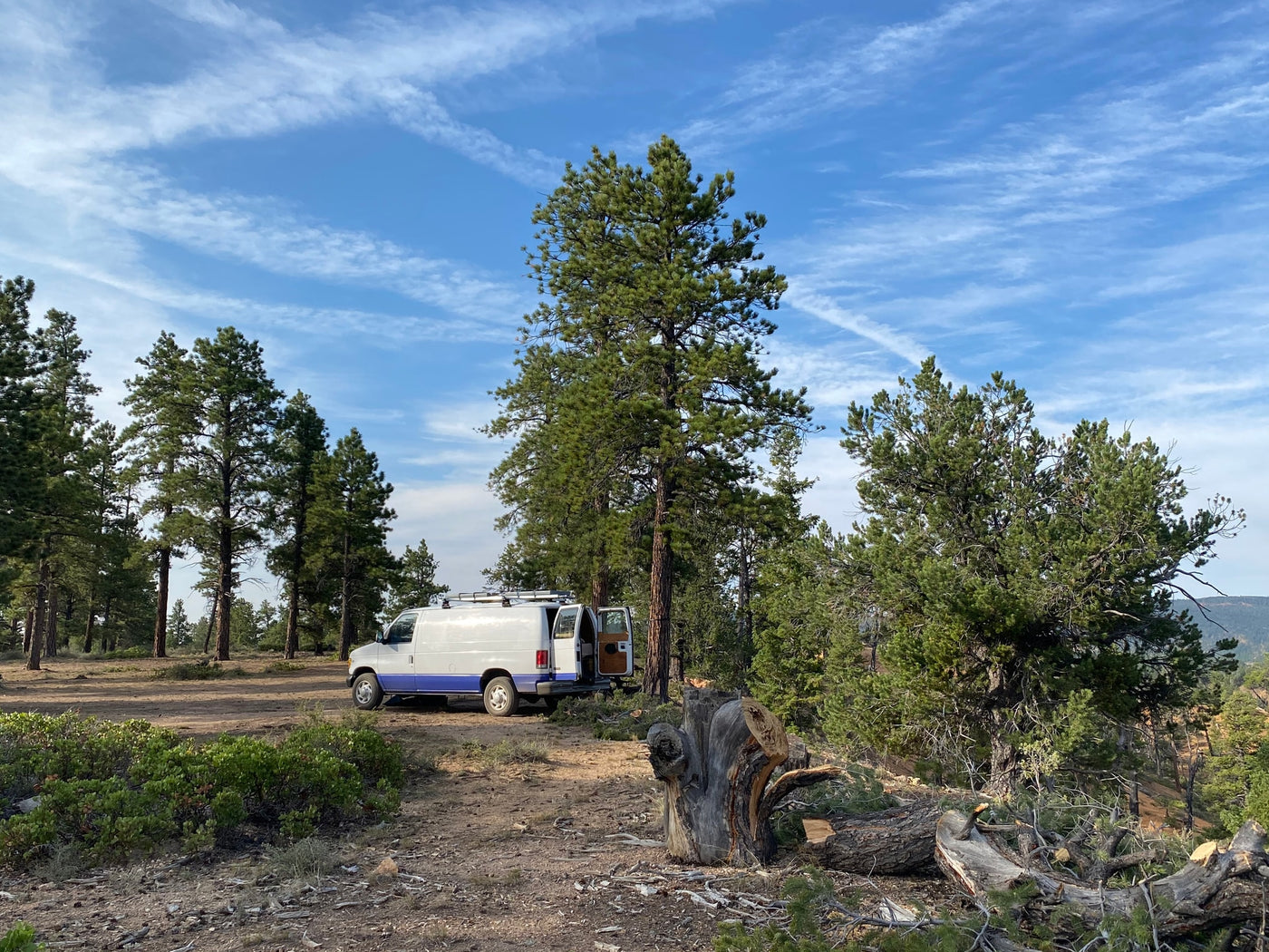 White and blue RV rental van, doors open, parked on dirt in a sunny pine forest. Wispy clouds in a blue sky. — photo 19