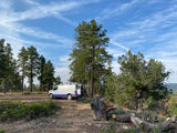 White and blue RV rental van, doors open, parked on dirt in a sunny pine forest. Wispy clouds in a blue sky.