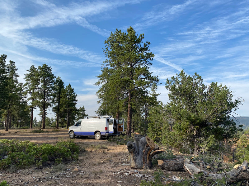 White and blue RV rental van, doors open, parked on dirt in a sunny pine forest. Wispy clouds in a blue sky. — photo 19