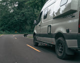 An RV rental camper van pauses on a winding road while a black bear crosses into the forest. A wild road trip adventure awaits.