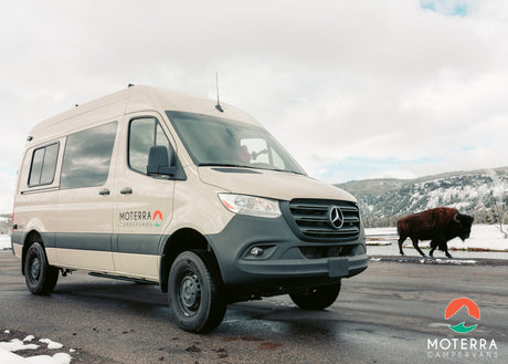 RV rental: Moterra Sprinter campervan with a bison in a snowy landscape. Adventure awaits!