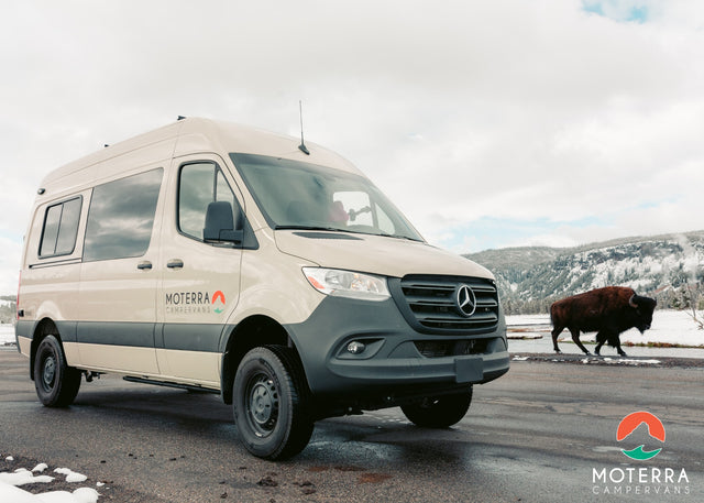 RV rental: Moterra Sprinter campervan with a bison in a snowy landscape. Adventure awaits!