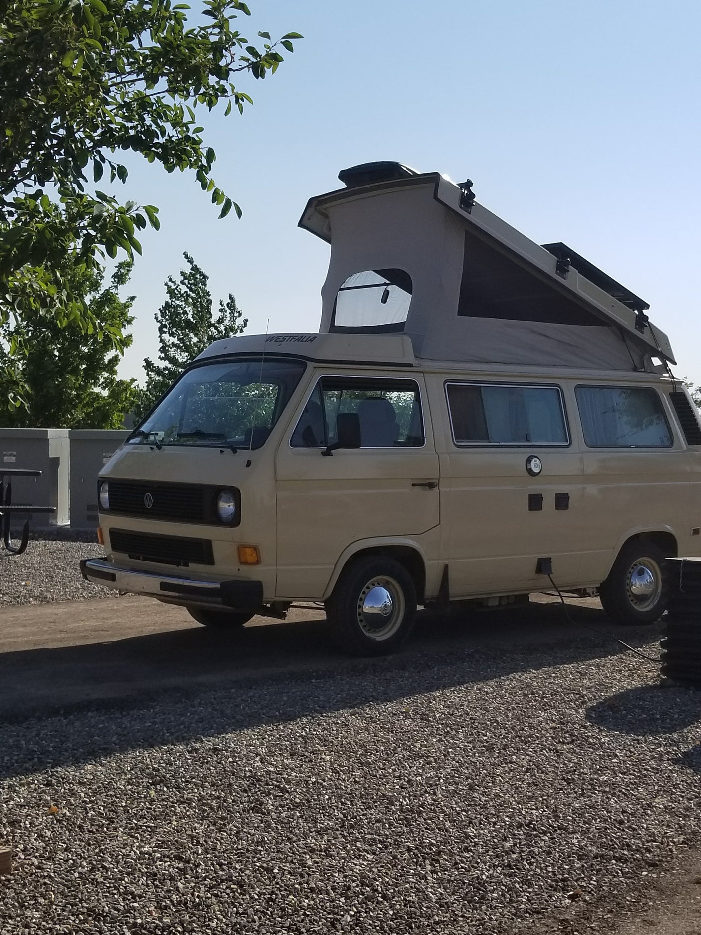 A beige VW Westfalia pop-top camper van, ideal for your next **rv rental** adventure, parked on a sunny campsite.