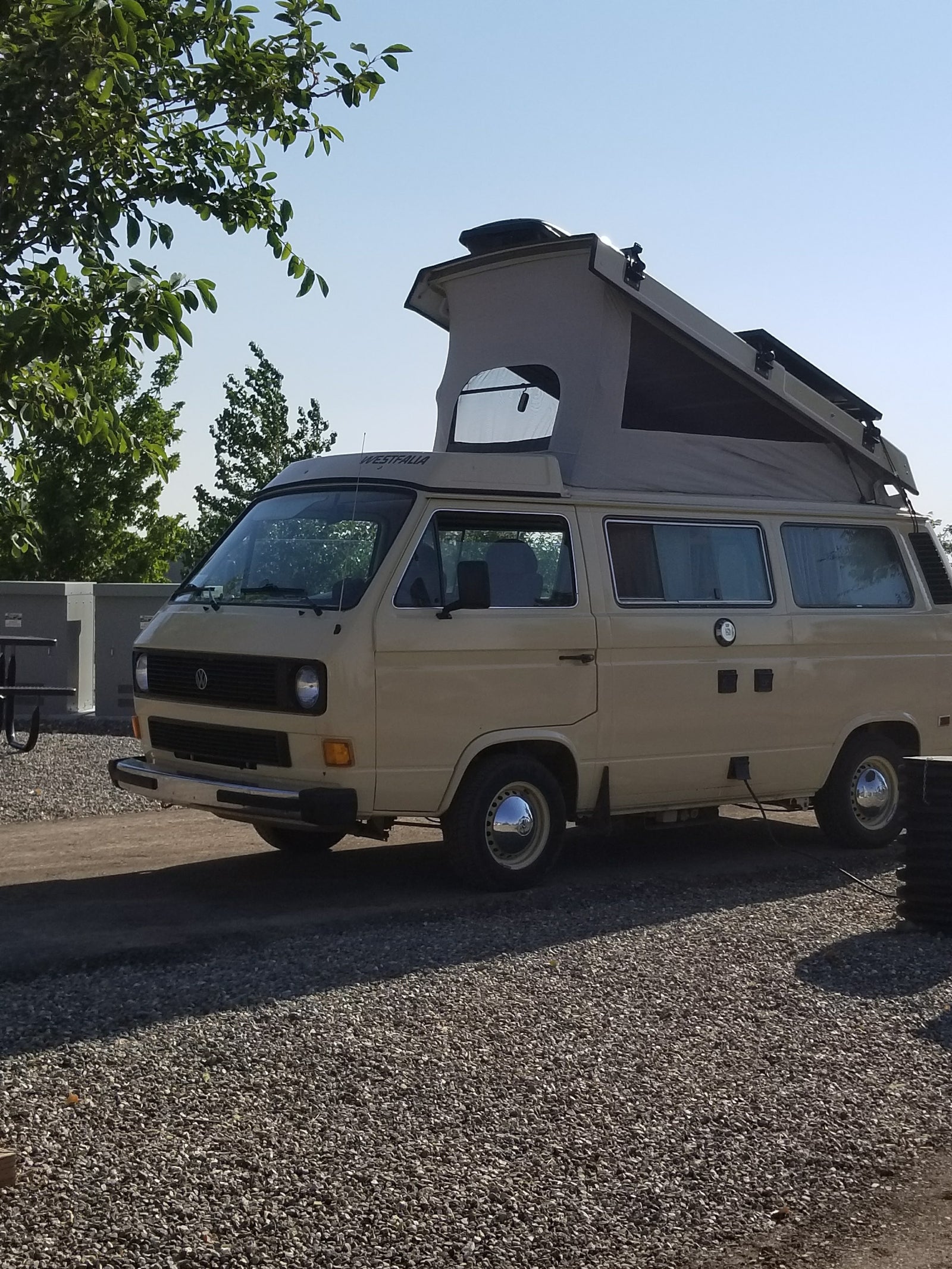 A beige VW Westfalia pop-top camper van, ideal for your next **rv rental** adventure, parked on a sunny campsite.