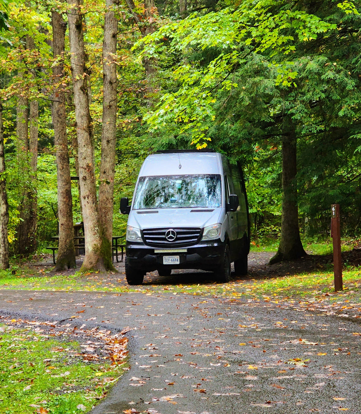 A silver Mercedes Sprinter RV rental is parked at a serene campsite (site 61) on a leafy road, surrounded by vibrant forest trees. — photo 11