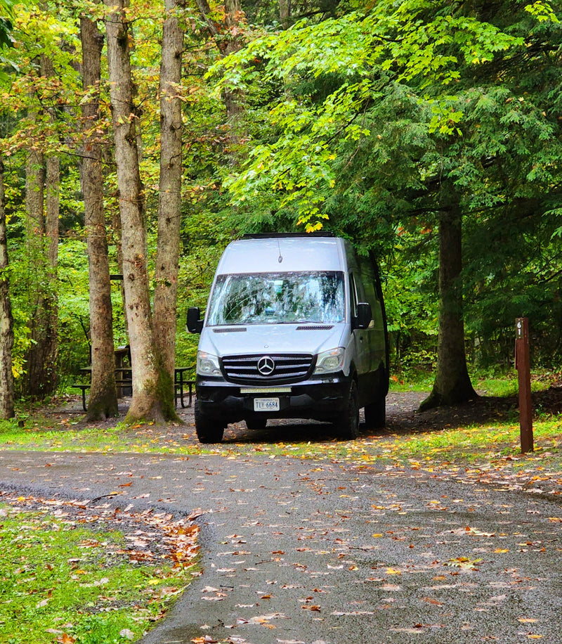 A silver Mercedes Sprinter RV rental is parked at a serene campsite (site 61) on a leafy road, surrounded by vibrant forest trees. — photo 11