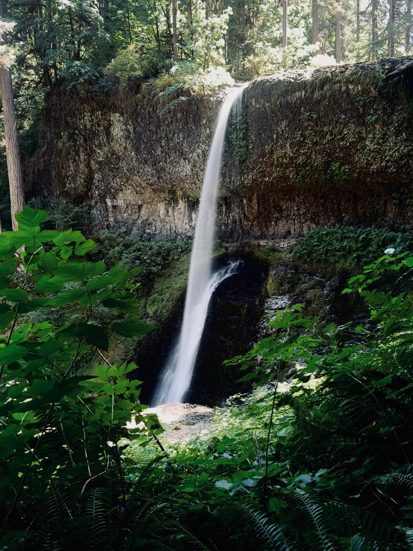 Experience the powerful beauty of a tall waterfall in a lush forest, cascading into a serene pool. Ideal RV rental destination.