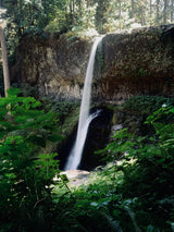 Experience the powerful beauty of a tall waterfall in a lush forest, cascading into a serene pool. Ideal RV rental destination.