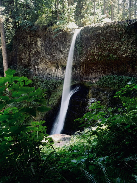 Experience the powerful beauty of a tall waterfall in a lush forest, cascading into a serene pool. Ideal RV rental destination.