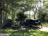 Cozy camping with a small camper! This rv rental setup includes a screen tent, picnic table, and a relaxing dog in a wooded campsite.