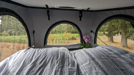 Cozy RV rental interior with striped bed, orchid plant, and nature views through arched windows. Perfect for camping!