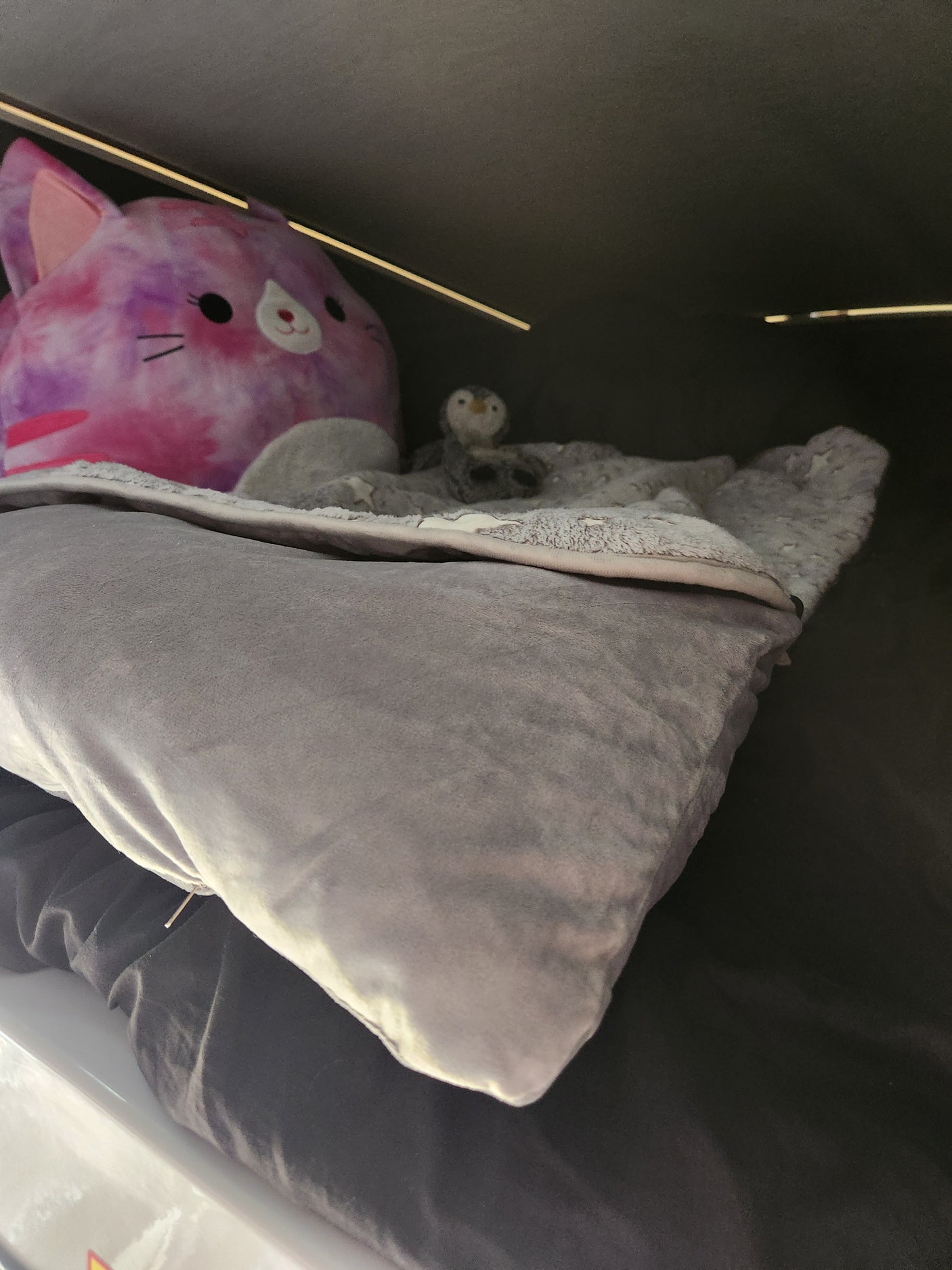 Cozy RV rental interior: pink Squishmallow, plush pillows, and a small penguin. Ready for a comfortable journey.