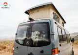 A dog peeks from a grey Mercedes Sprinter campervan, ideal for an RV rental adventure in a rugged landscape.