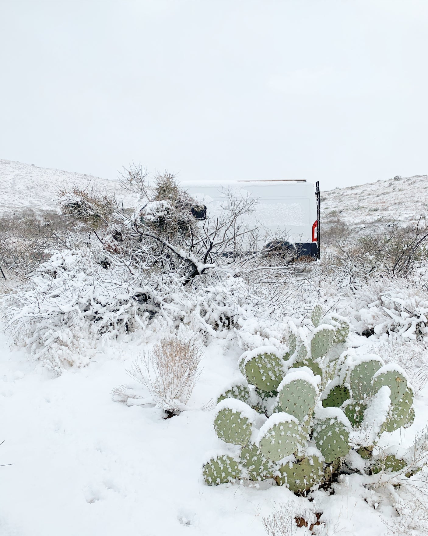 A white RV rental van nestled among snow-covered desert bushes and cacti on a snowy day.