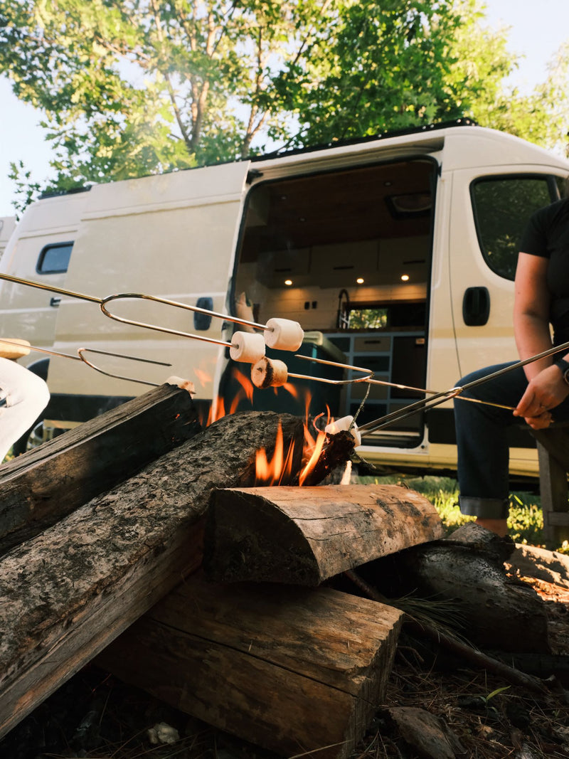 Top Notch Vans - Tela - Seats and Sleeps 2! — photo 4