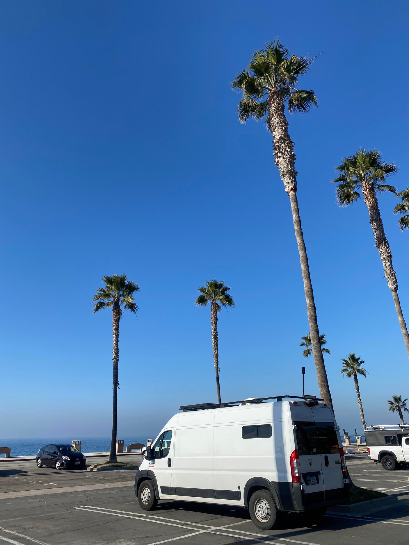 RV rental vans parked under tall palm trees and a clear blue sky, overlooking the ocean from a sunny coastal lot.