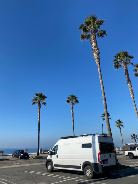 RV rental vans parked under tall palm trees and a clear blue sky, overlooking the ocean from a sunny coastal lot.