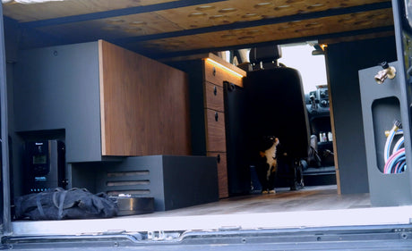 RV rental camper van interior. Custom wood & dark cabinetry, power system, water hoses, and a curious cat inside.
