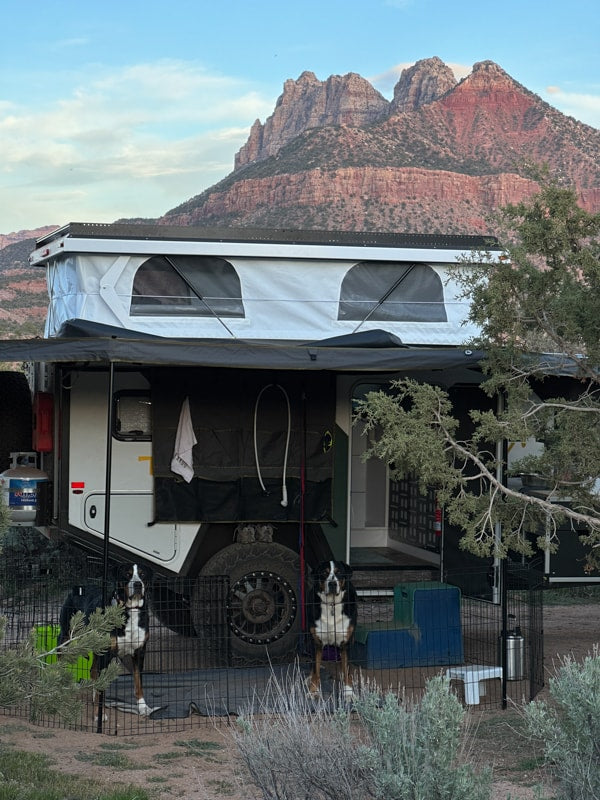 An off-road pop-top rv rental camper set up at a scenic campsite with two dogs and majestic mountains. — photo 18