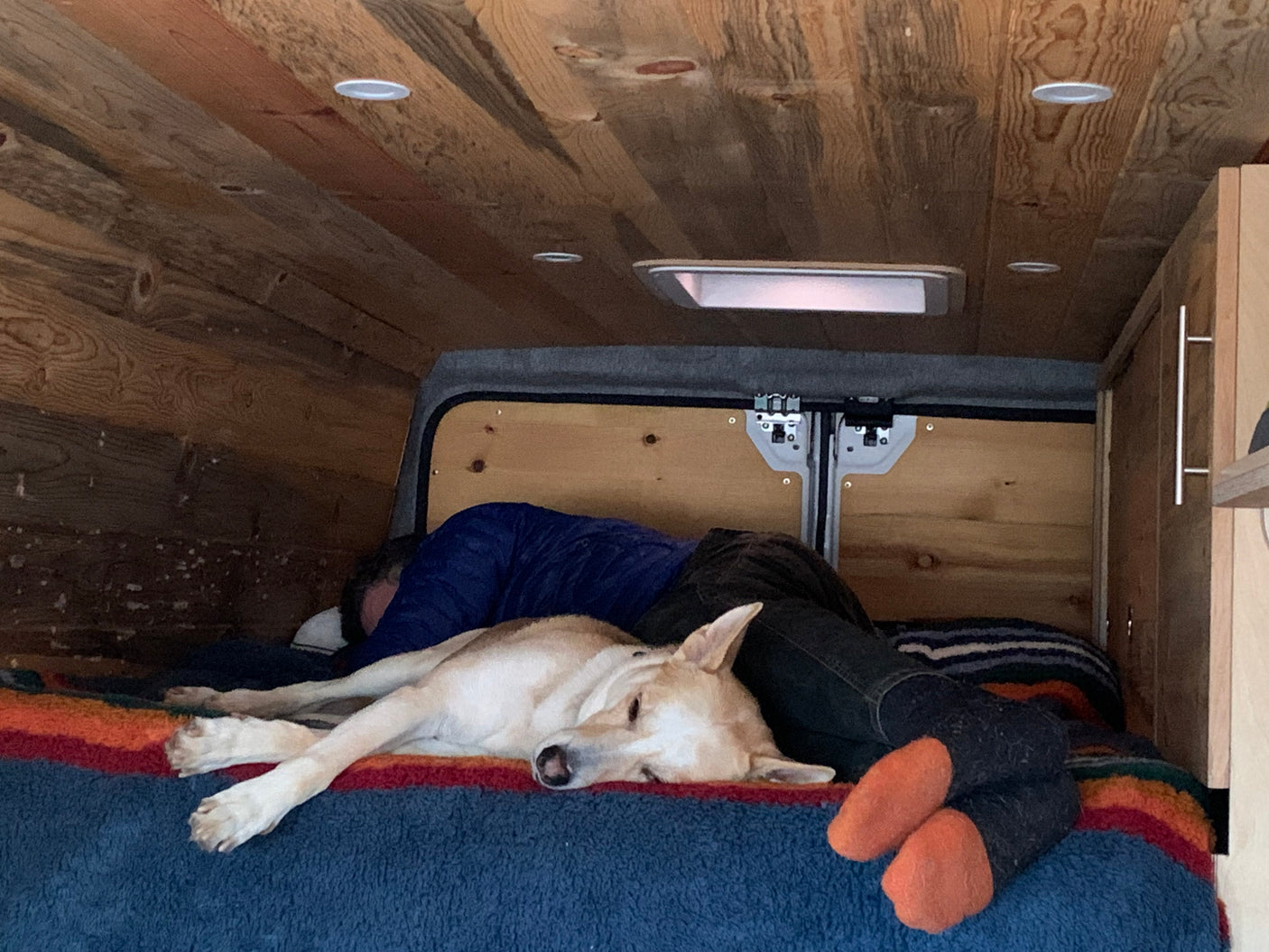 Cozy RV rental rest: A person and their dog nap on a colorful bed inside a custom-built, wood-paneled van.