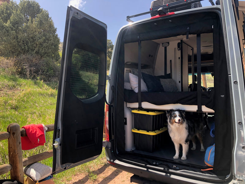 Pet-friendly rv rental with rear doors open, showing a cozy bed and storage. A dog stands inside, ready for outdoor adventure. — photo 11