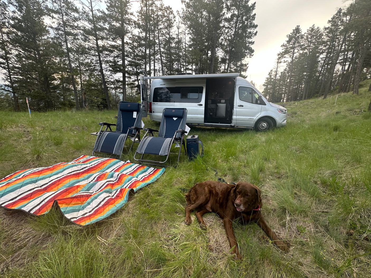 An RV rental camp: Silver camper van, two chairs, a colorful blanket, and a brown dog enjoying the grassy outdoors.
