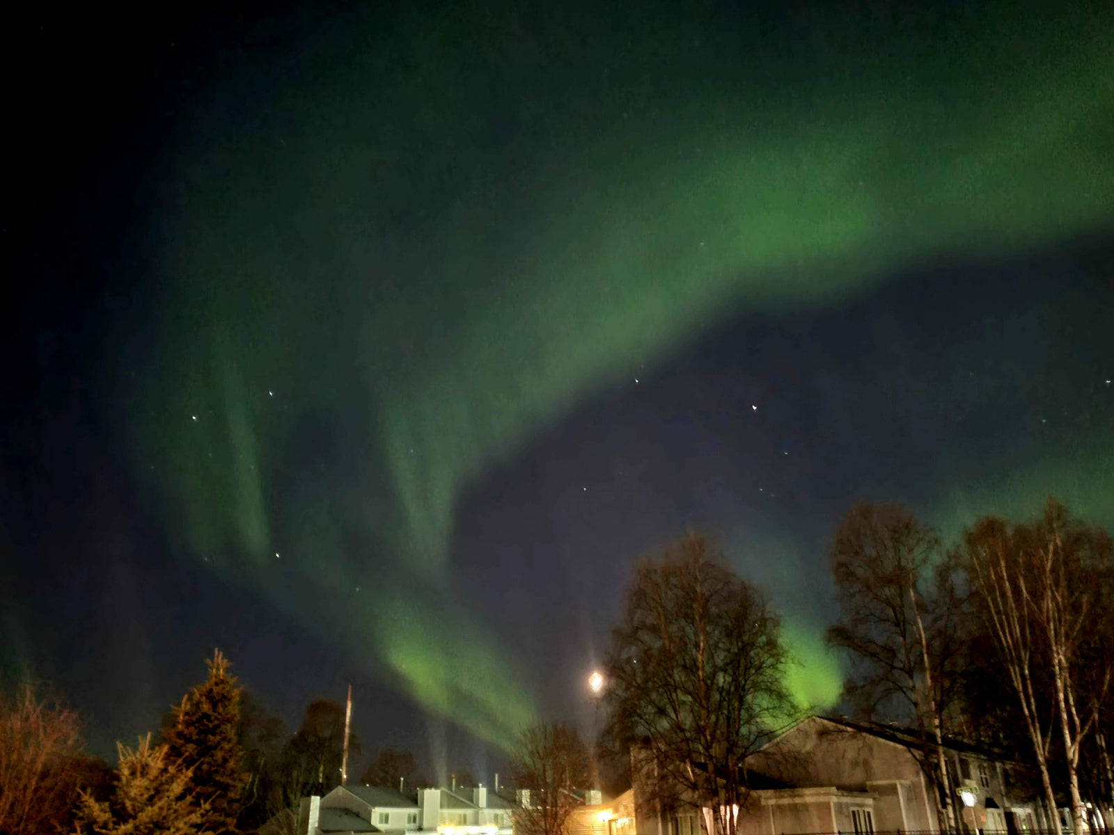 Vibrant green Northern Lights streak across a dark night sky over trees & buildings. An RV rental is perfect for aurora viewing!