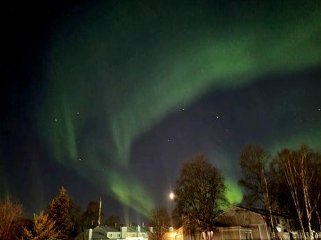 Vibrant green Northern Lights streak across a dark night sky over trees & buildings. An RV rental is perfect for aurora viewing!