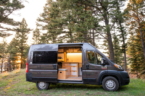 2021 Dodge Promaster - The Bison — photo 2