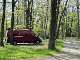 This red RV rental camper van is parked under budding trees at a peaceful campsite.