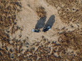 Aerial view: An RV rental and truck parked on sandy terrain with dry vegetation, ideal for remote desert camping.