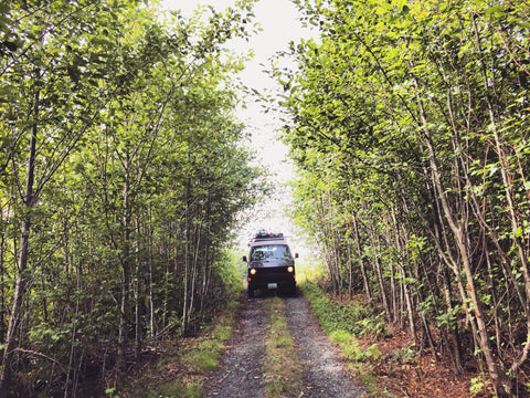 Van #3 - Wolf overland rental