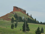 Scenic red rock butte & pine trees, perfect for an RV rental road trip.