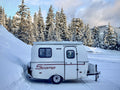 Roadtrip Adventures Await! Experience the PNW courtside.