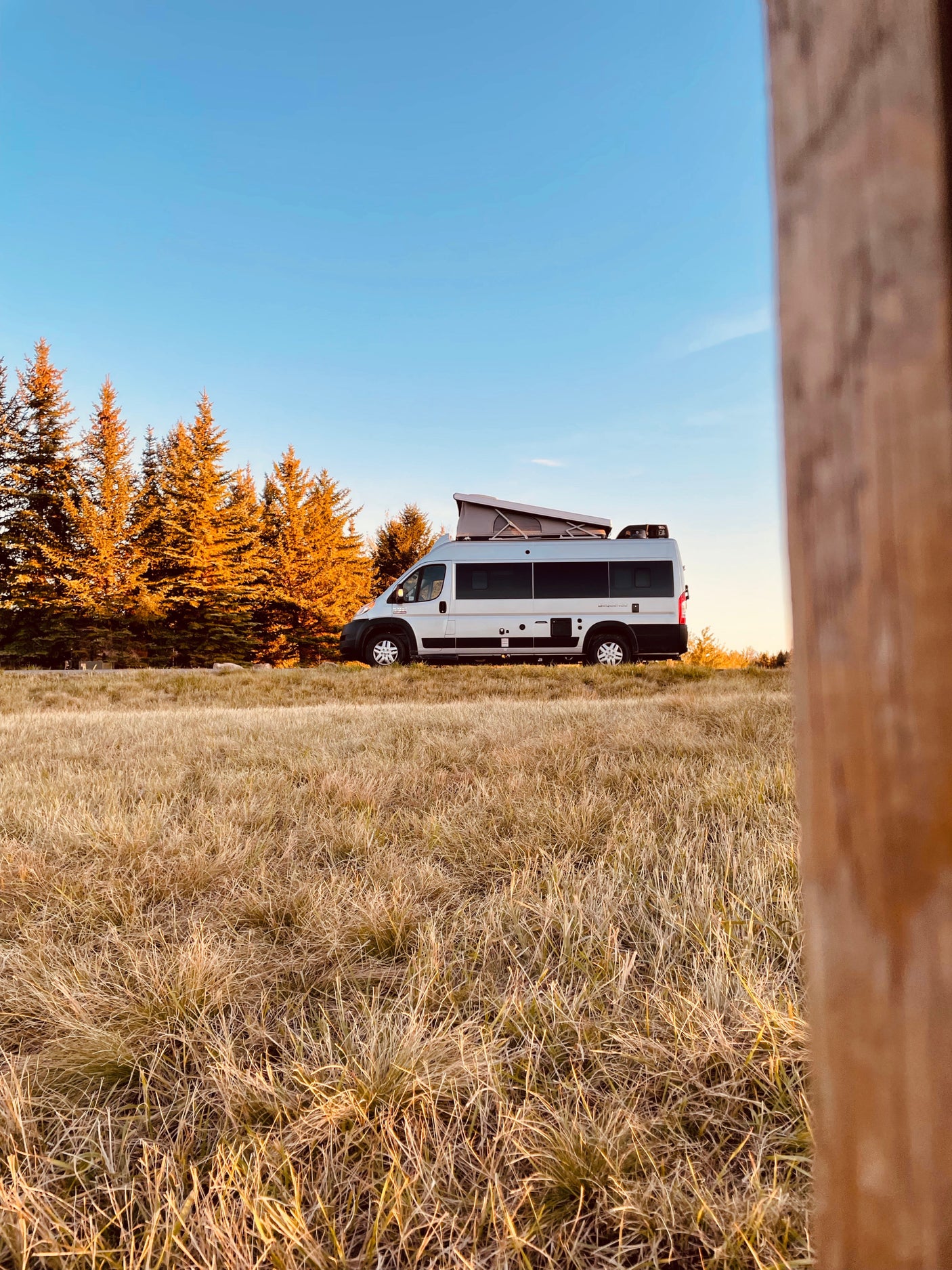 White RV rental camper van parked in a golden field at sunset, backed by sunlit trees under a clear blue sky.