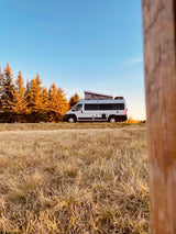 White RV rental camper van parked in a golden field at sunset, backed by sunlit trees under a clear blue sky.
