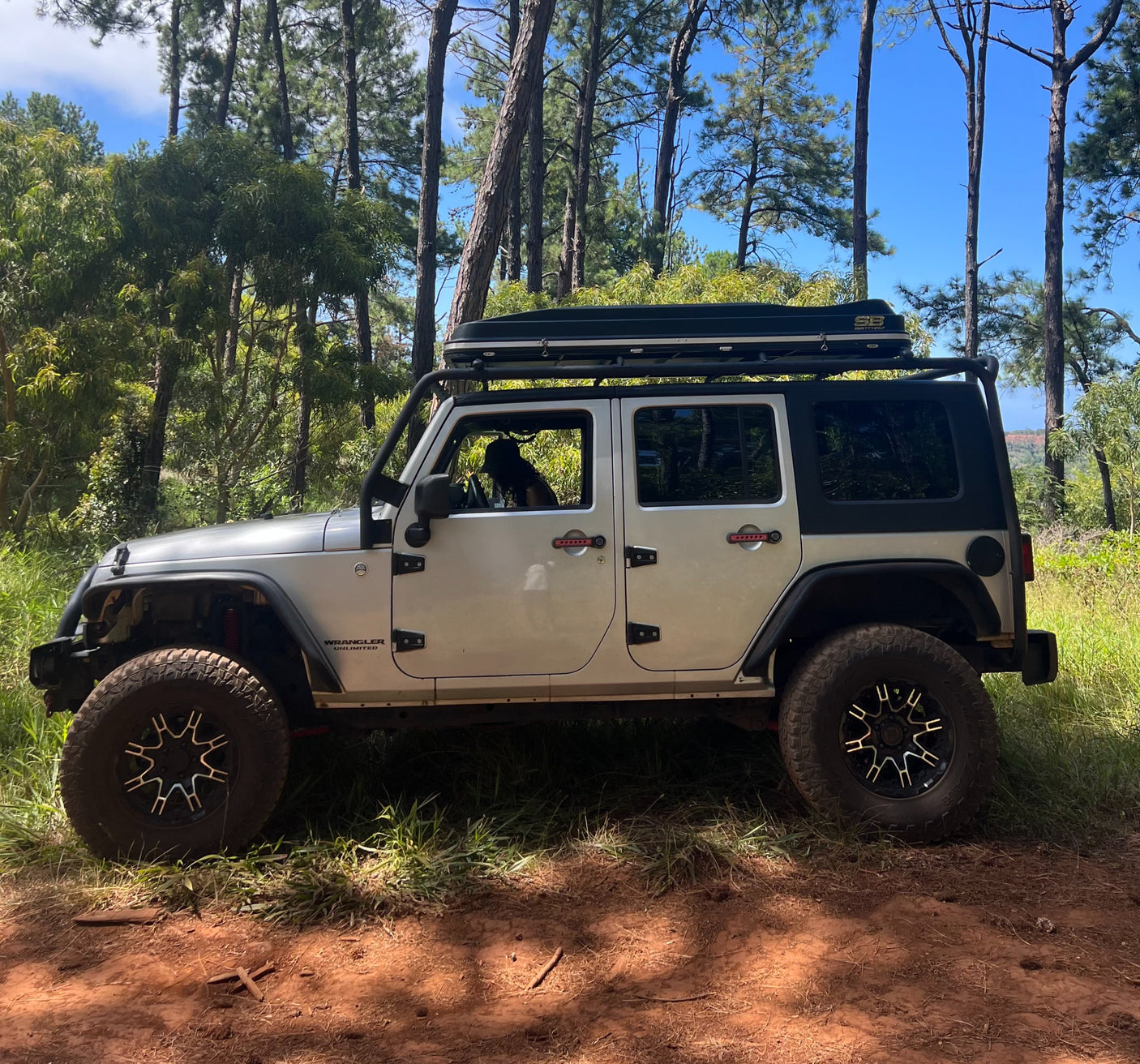 This silver Jeep Wrangler, perfect for an RV rental outdoor adventure, is parked on a forest trail with a dog in the driver's seat.